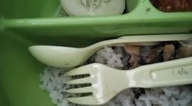 Menu MBG ri salah satu sekolah viral di berbagai gruop WhatsApp sebab dianggap tidak layak konsumi.